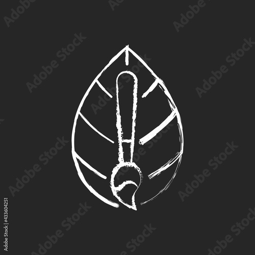 Natural dye textile chalk white icon on black background. Healthy lifestyle staining material option. Fiber dyeing. Eco friendly fabric feature. Isolated vector chalkboard illustration