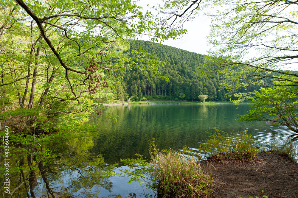 Lake Tanuki in Fujinomya City, Japan. Fuji-Hakone-Izu National Park.
