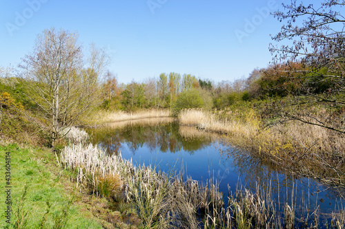 Clear blus sky reflected in the still waters of a small lake