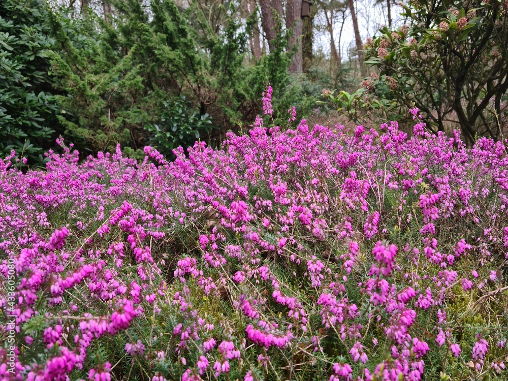 Spring through the camera