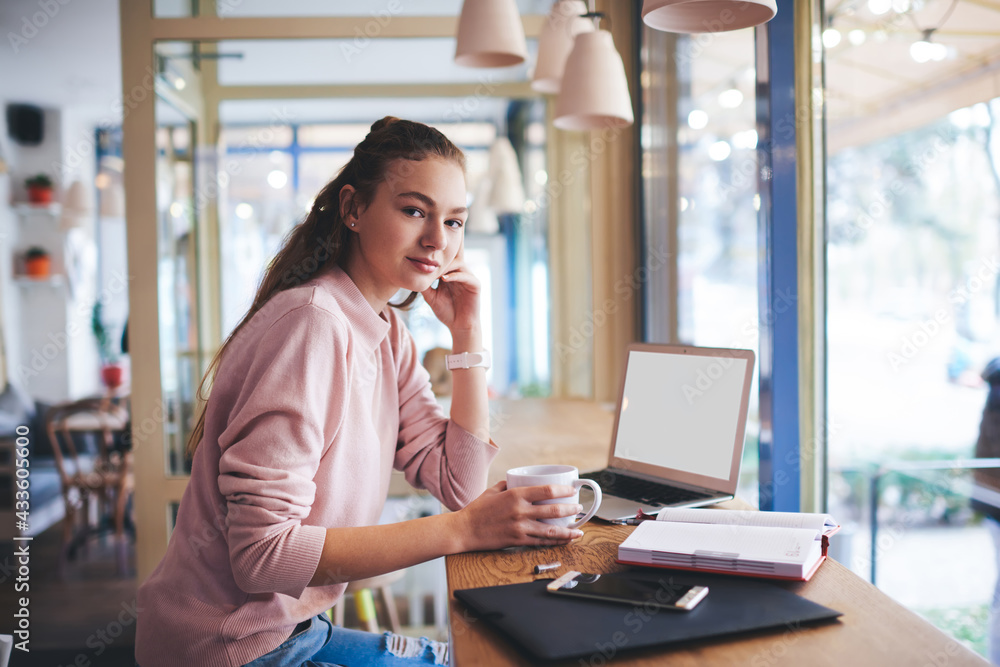 Calm woman studying in cafe having coffee Calm woman studying in cafe having coffee