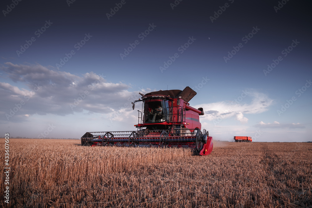 Obraz premium Mechanized harvesting of grain in an agricultural field. Bright, evening, summer landscape with a combine harvester. Idyllic rural background, wallpaper, design. Selective, soft focus. Tinted photo.
