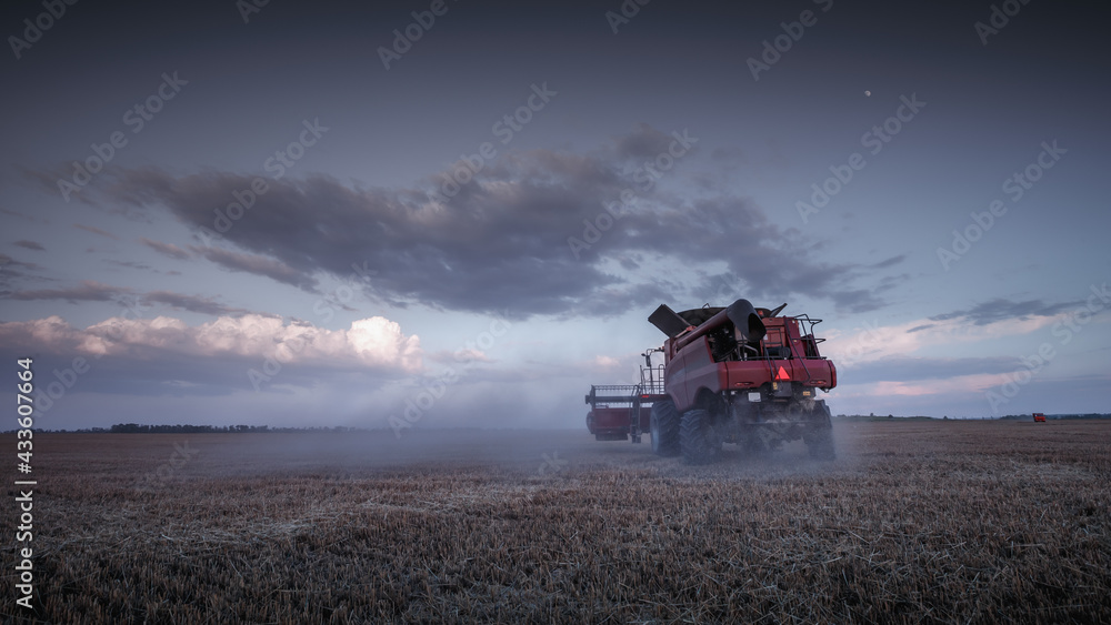 Fototapeta premium Mechanized harvesting of grain in an agricultural field. Bright, evening, summer landscape with a combine harvester. Idyllic rural background, wallpaper, design. Selective, soft focus. Tinted photo.