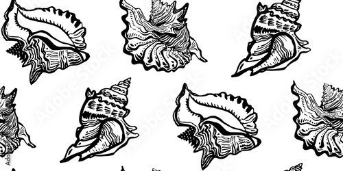 Ocean black and white seashell of wild line freehand style black ink seamless pattern. Amazing inhabitant of the seabed, cockleshell for clothes fabric, bedding, textile, package, wallpaper. 