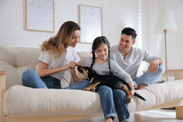 Happy family playing with puppy on sofa in living room