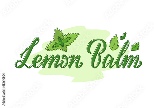 Vector illustration of lemon balm lettering for packages, product design, banner, spice shop, pharmacy price lists. Handwritten phrase with leaves for web or print
