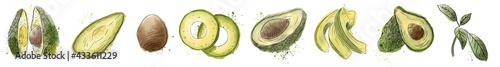 Avocado set. Imitation of watercolors. Interior culinary banner. Exotic fruit. Print for postcards, fabrics. Hand drawn. Doodle. Avocado leaves, fruits, and seeds.