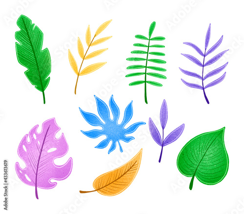 Cute cartoon tropical jungle colorful leaves.