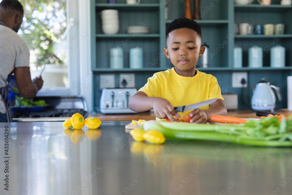 © Wavebreak Media - African american father and son in kitchen, cooking together © Wavebreak Media - African american father and son in kitchen, cooking together