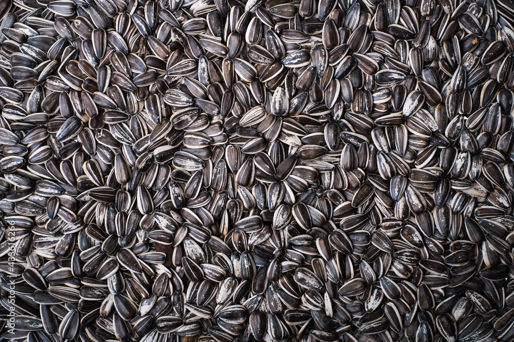 sunflower seed background sunflower seed background