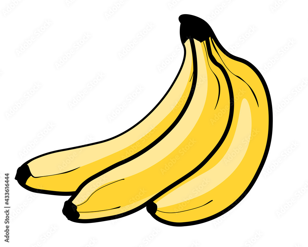 Banana bunch of three pieces, vector graphics