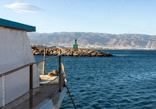 Gato en un  baroco ,  puerto pesquero de Roquetas de Mar , Almeria  photo