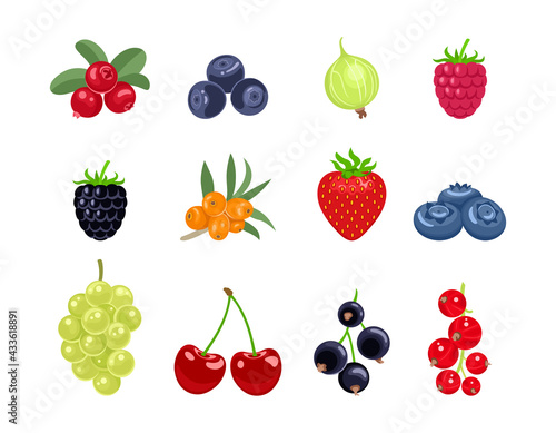 Cartoon berry set. Vector illustration of cranberry  bilberry  gooseberry  raspberry  blueberry  sea buckthorn  strawberry  blueberry  grape  cherry  black currant  red currant isolated. Flat icons.