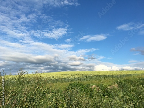 北海道美瑛　畑　丘