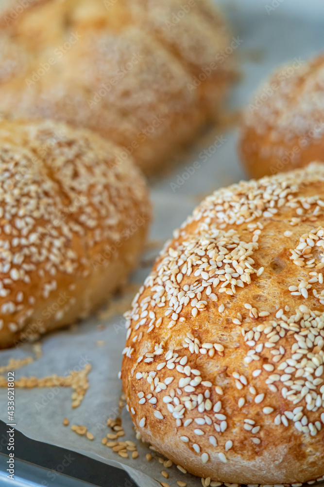 Closeup on fresh challah bread rolls hot from the oven on a baking tray. Gluten free bread buns or mini loaves with sesame seeds and golden color ready to eat. Fluffy shaped bread for sandwiches.