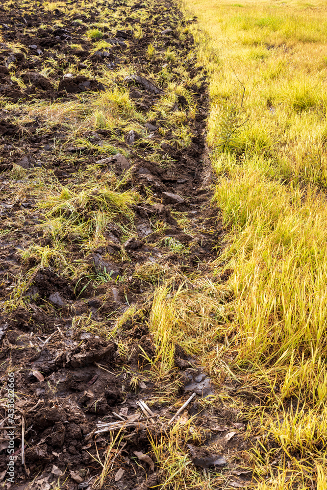 Ground background with weed grass in a plowed field. Ground background with weed grass in a plowed field.