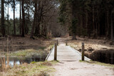 Small bridge in the Dutch woods | kleine brug in eem Nederlands bos