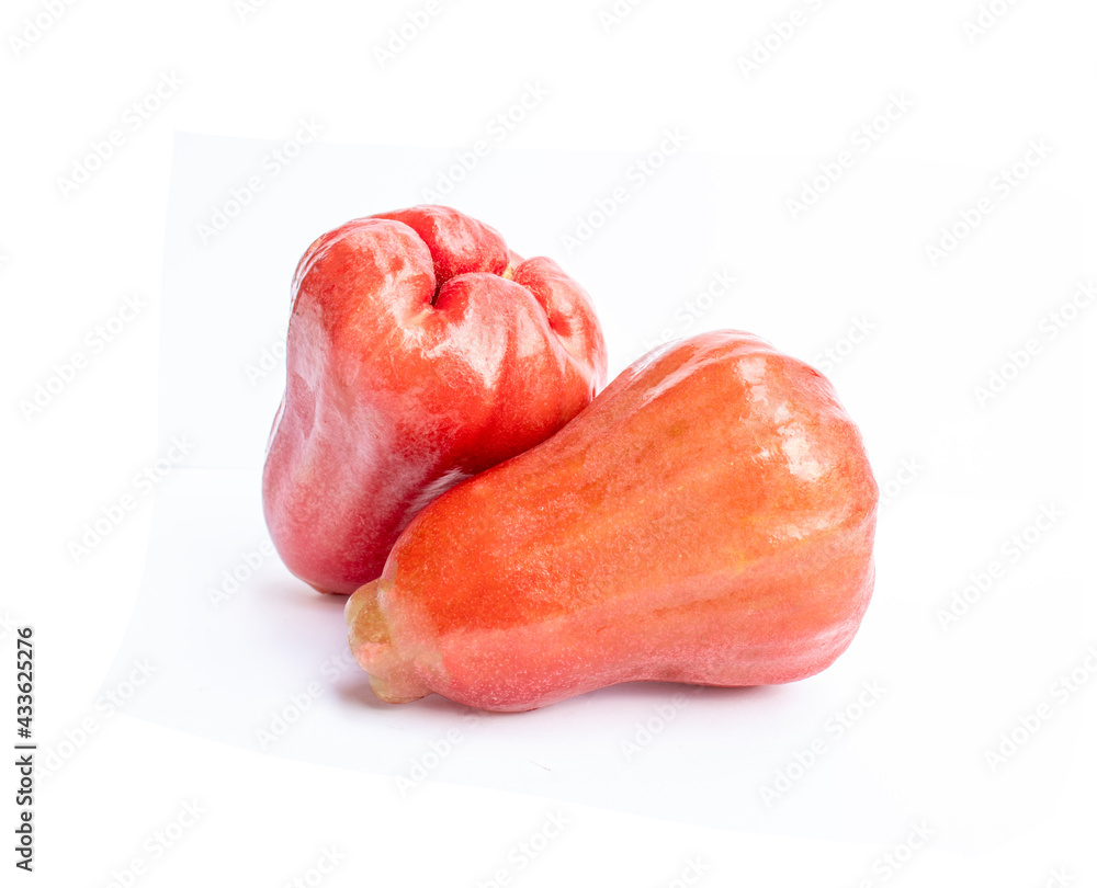rose apple isolated on white background rose apple isolated on white background