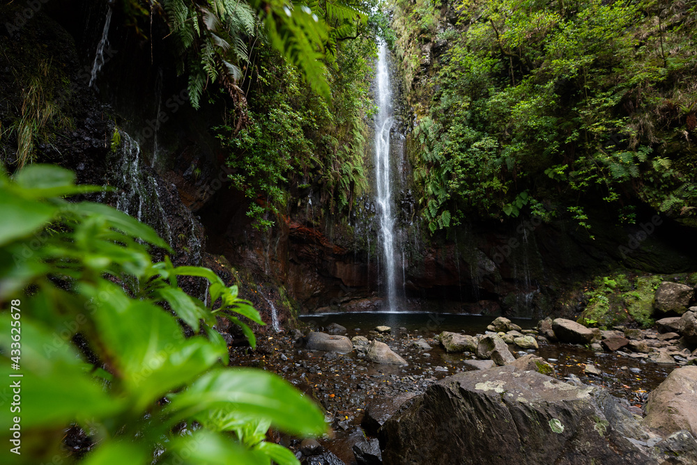 Obraz premium Waterfall in Madeira island pure nature with clean water