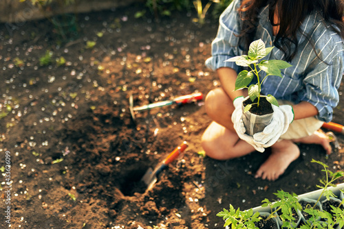 Horizontal closeup image of a gardener female working with a trowel in the garden to growing new plants. A young woman planting in the garden with new plants.