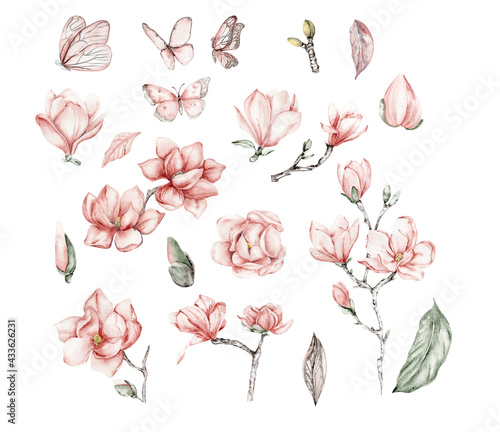 Aset of watercolor pink magnolias