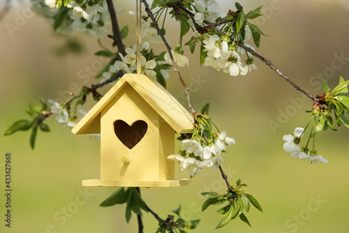 Yellow bird house with heart shaped hole hanging from tree branch outdoors