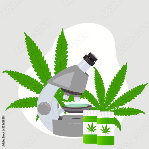 Medical research of cannabis with a microscope. Vector illustration.