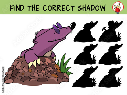 Mole. Find the correct shadow