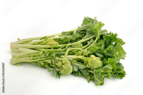Bunch of fresh turnip tops , italian cime di rapa, isolated on white background
