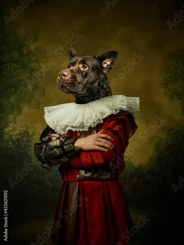 Obraz na płótnie Model like medieval royalty person in vintage clothing headed by dog head on dark vintage background