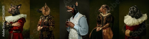 Fotografia Models like medieval royalty persons in vintage clothing headed by dog's heads on dark vintage background