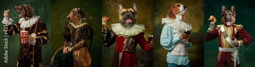 Models like medieval royalty persons in vintage clothing headed by dog's heads on dark vintage background. photo