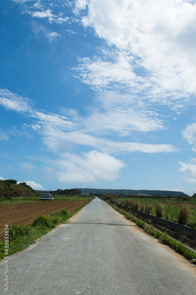 一直線の舗装された田舎の農道