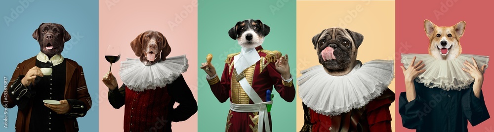 Models like medieval royalty persons in vintage clothing headed by dog's heads on multicolored background.