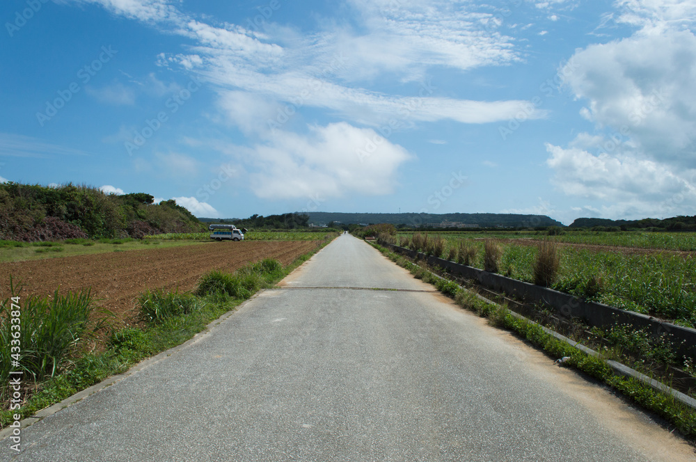 一直線の舗装された田舎の農道