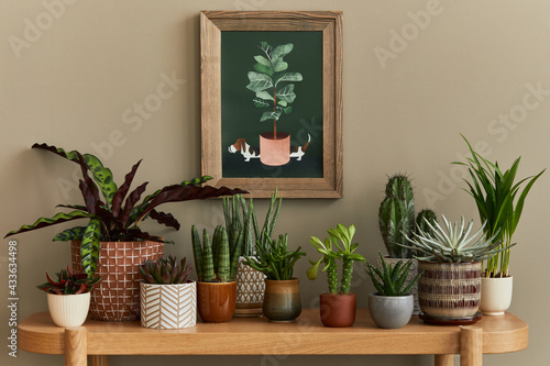 Stylish composition of home garden interior with mock up poster frame  filled a lot of beautiful plants  cacti  succulents  air plant in different design pots. Home gardening concept. Template.