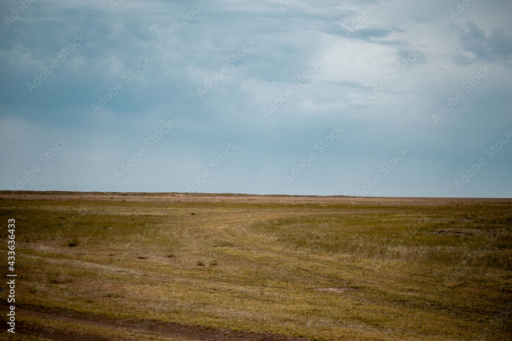 Fototapeta premium Agricultural fields, lots of empty work space, harvesting 