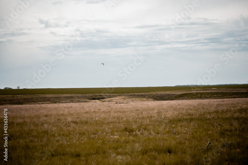 Agricultural fields, lots of empty work space, harvesting 