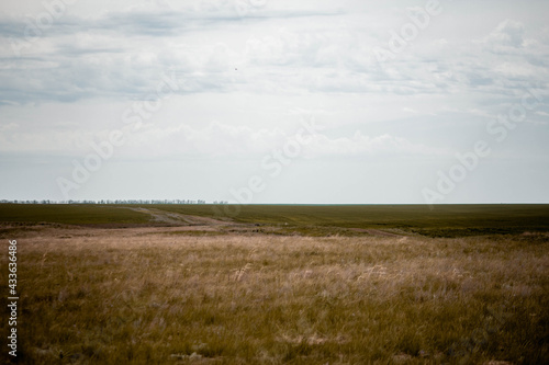 Agricultural fields  lots of empty work space  harvesting 