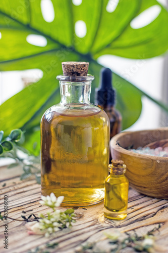 Natural cosmetics with essential oils in glass bottles on the background of exotic plants. Wellness skin care background
