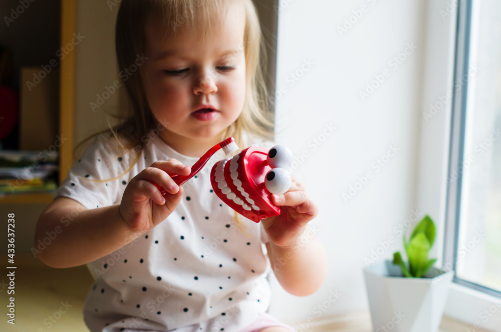 Little girl playing with dental jaw toy. Toddler brushing comic fake teeth, showing on a jaw