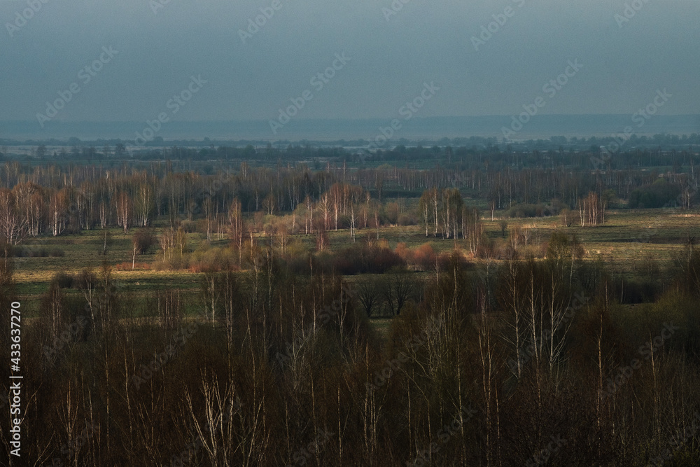 Fototapeta premium Top view of a field with trees