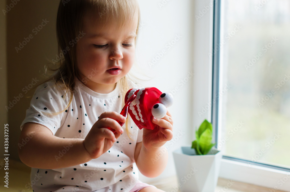 Little girl playing with dental jaw toy. Toddler brushing comic fake teeth, showing on a jaw