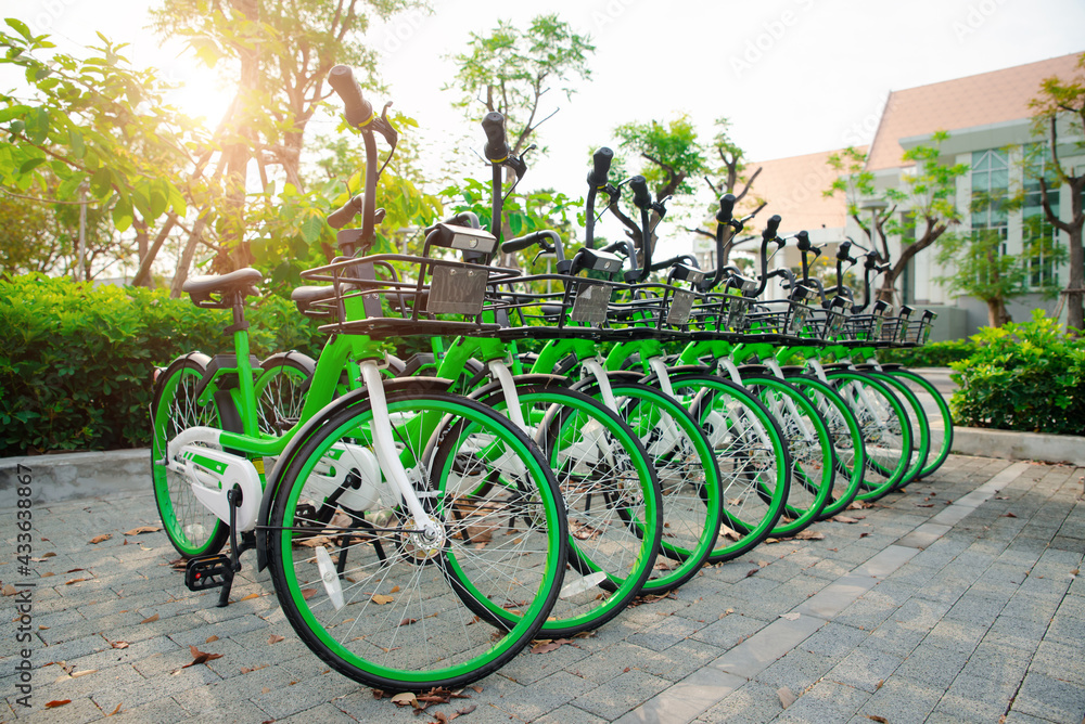 App bicycles for city bike-sharing, parking in a public area. concept of eco-friendly healthy active lifestyle, business transport. The row of many green modern bicycle on public parking in university