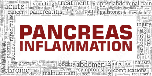 Pancreas inflammation vector illustration word cloud isolated on a white background.