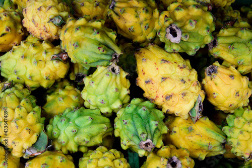 Colombian Dragon Fruit, fresh harvested raw yellow Pitaya / Pitahaya, or Selenicereus megalanthus in a farmers market in Colombia, South America photo