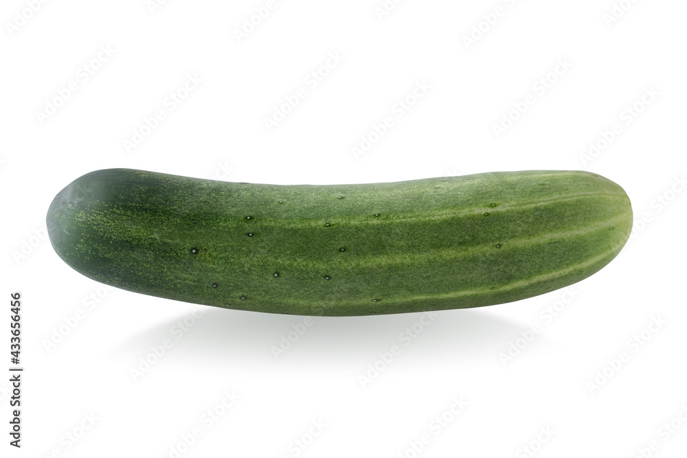 ripe cucumber isolated on a white background.. ripe cucumber isolated on a white background..