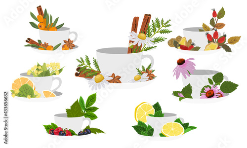 White tea cups with different fillings. Tea with sea buckthorn, chamomile, cinnamon, rosehip, ginger, orange, linden, echinacea, lemon, berries and herbs. Vector illustration photo