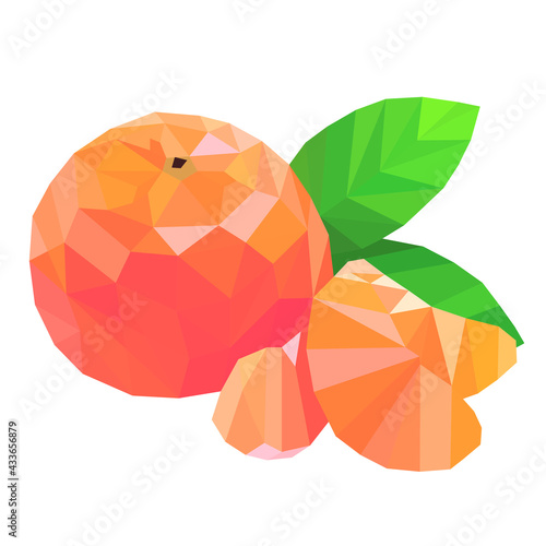 illustration of an orange fruit
