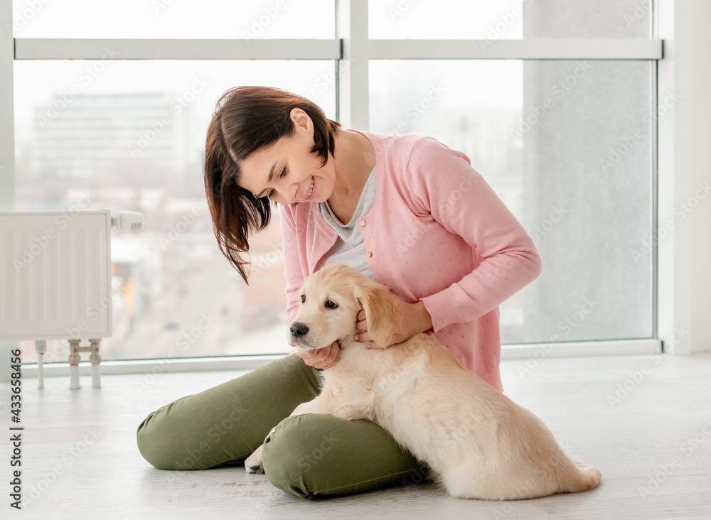 Beautiful woman petting lovely little dog in light room Beautiful woman petting lovely little dog in light room